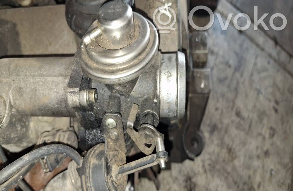Volkswagen Golf IV Zawór EGR