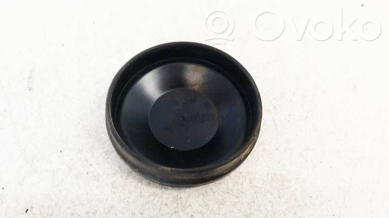 Ford S-MAX Parapolvere per faro/fanale 