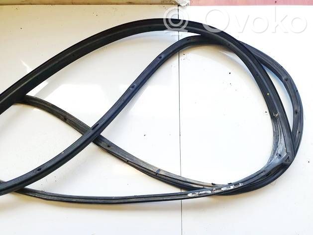 Hyundai Matrix Cheder cauciuc ușă față coupe 