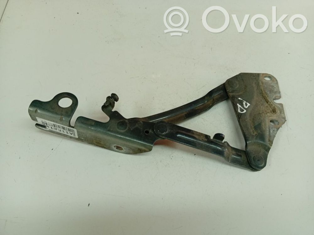 Volkswagen Golf Plus Cerniere del vano motore/cofano