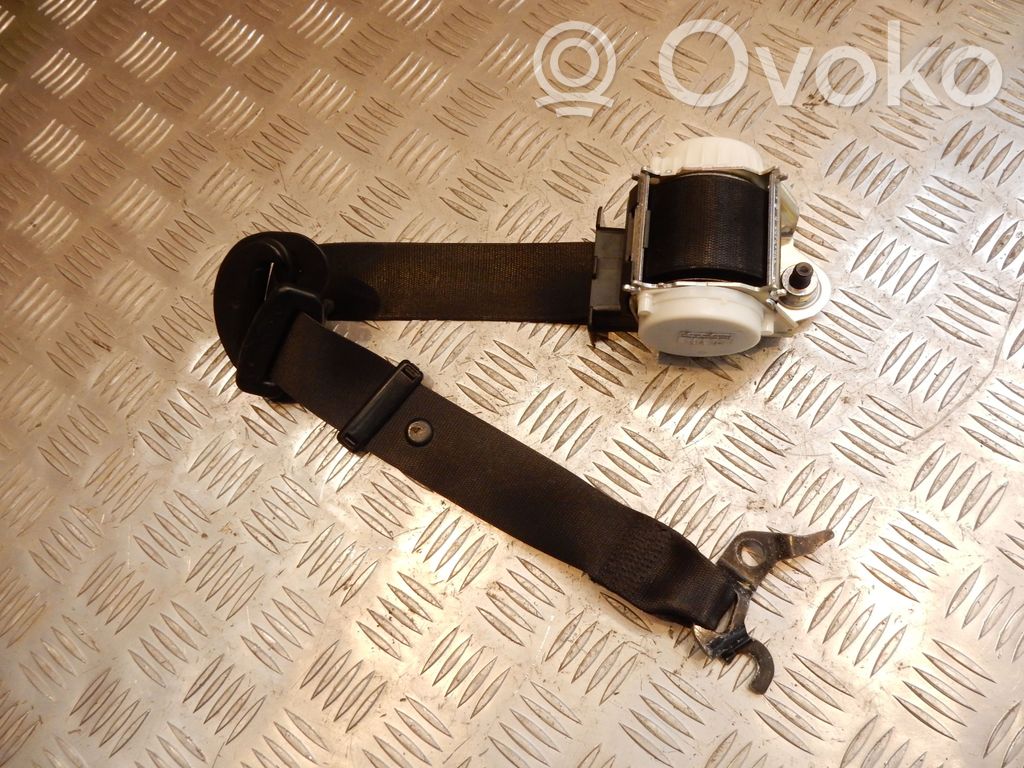 Cinturón delantero   33059848,36116