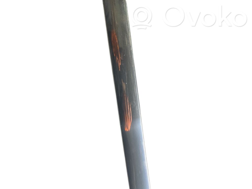 BMW 7 E65 E66 Rubber seal rear door window/glass 