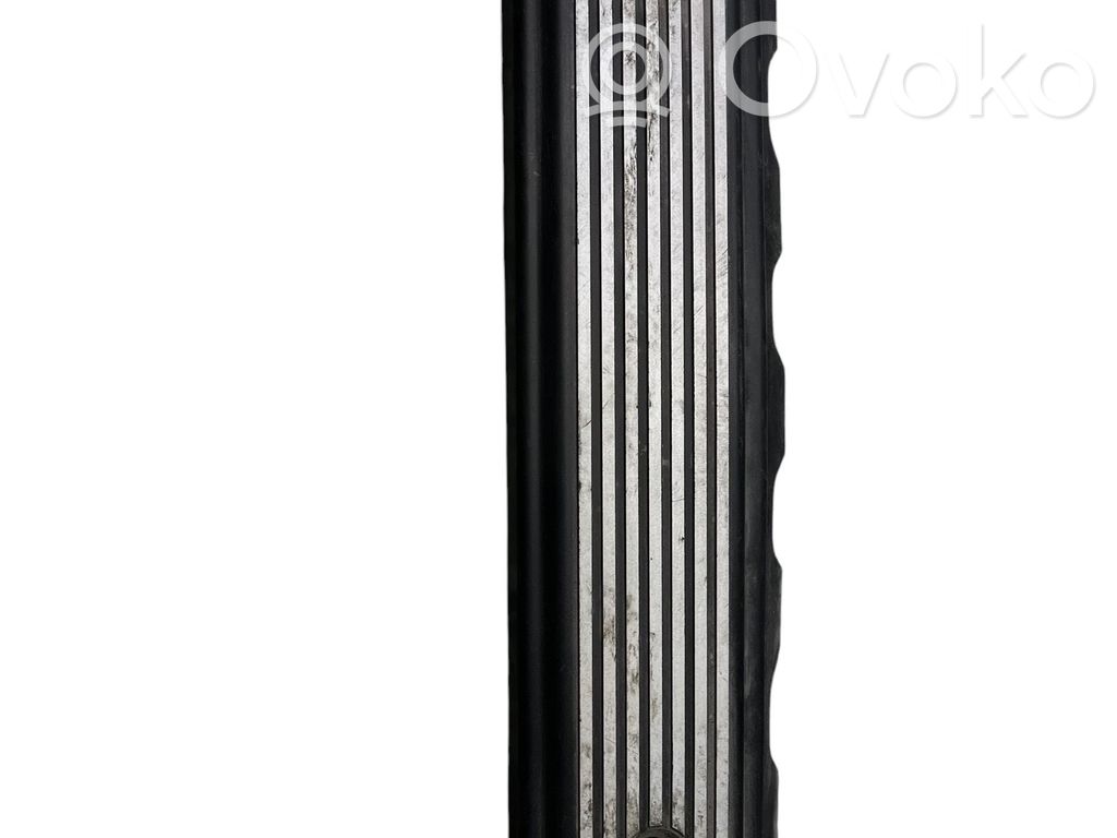 BMW 5 E39 Variklio dangtis (apdaila) 
