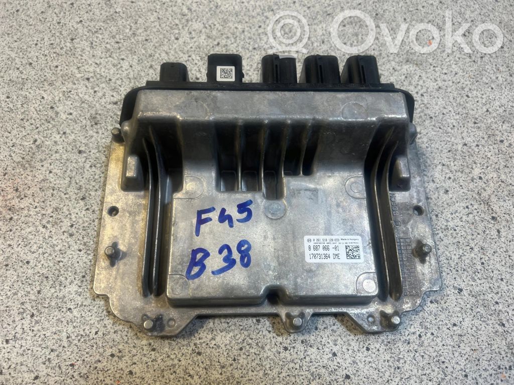 Engine control unit/module ECU   8687066