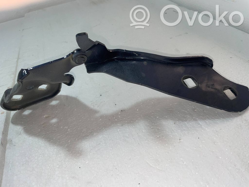 Tesla Model 3 Dzinēja pārsega eņģe (-es) 