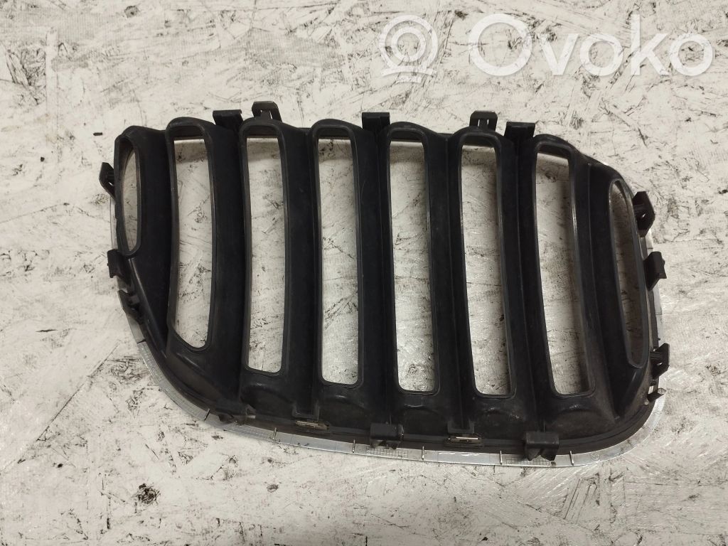 BMW X5 E53 Front grill 