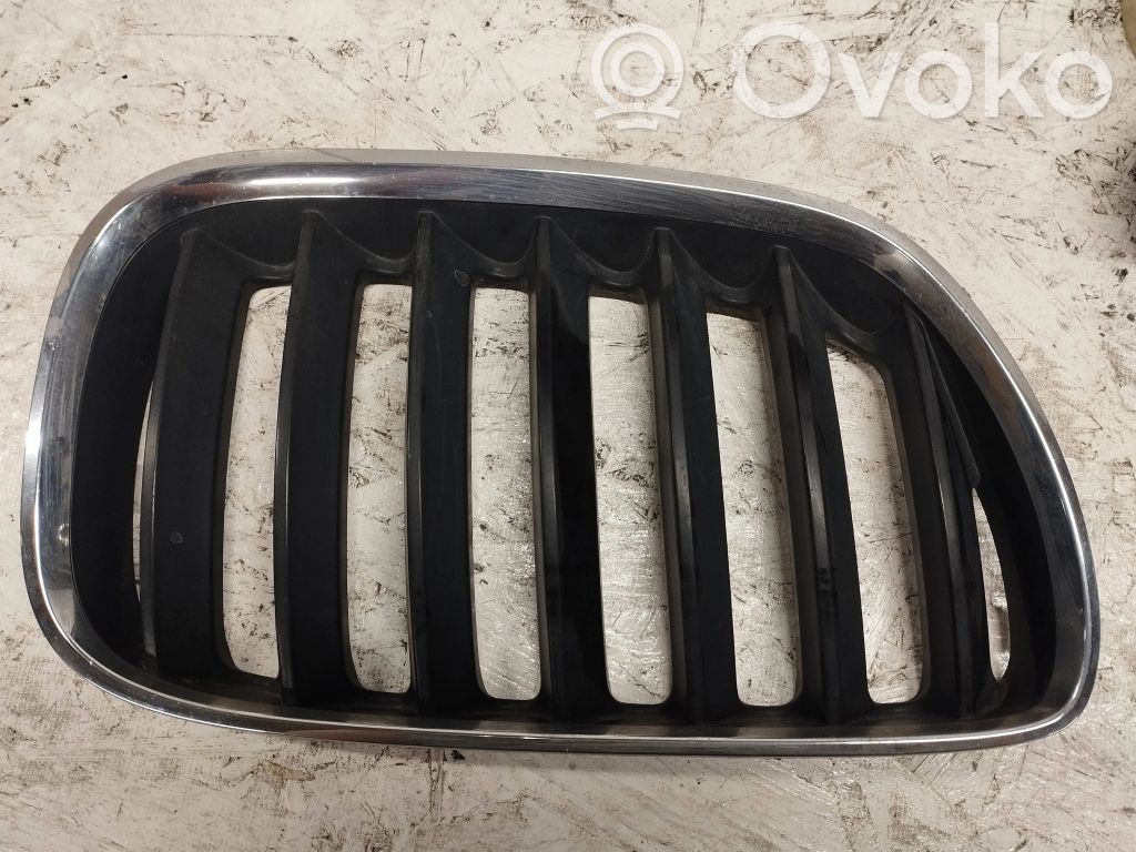 BMW X5 E53 Front bumper lower grill 