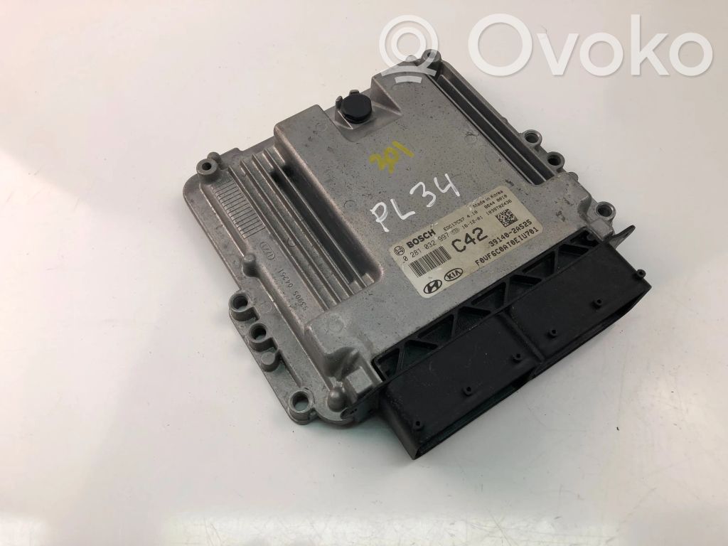 Engine control unit/module ECU   391402A525,0281032997