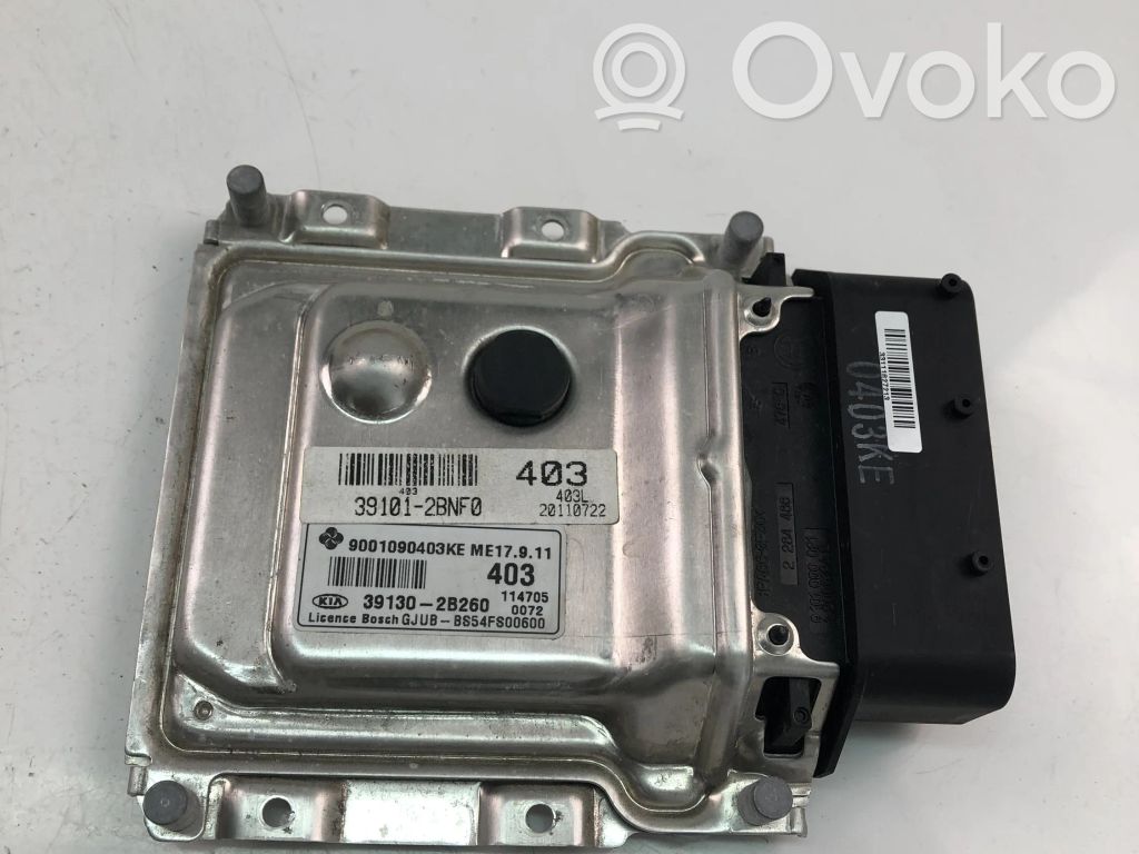 Engine control unit/module ECU   391302B260