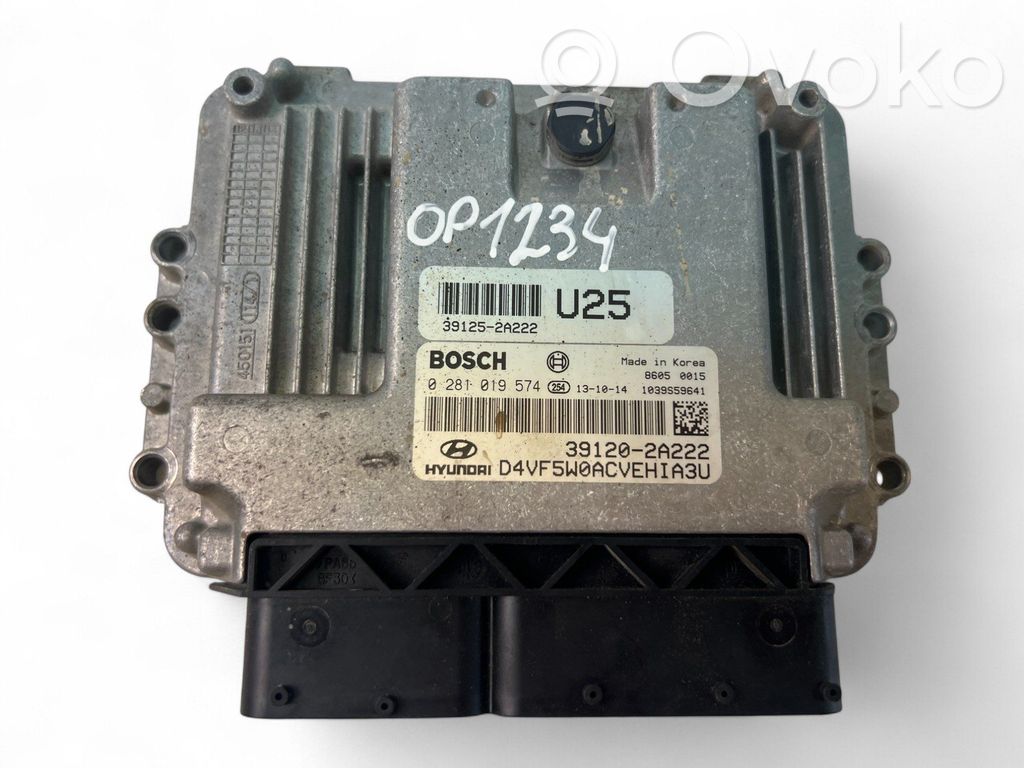 Engine control unit/module ECU   391202A222,0281019574