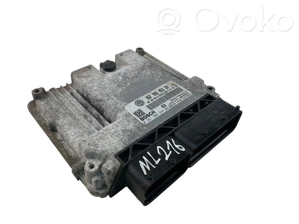 Engine control unit/module ECU   06F906056GN,0261S02344