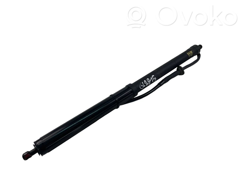 Toyota RAV 4 (XA50) Tailgate/trunk strut/damper 