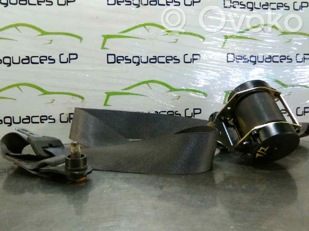 Cinturón trasero