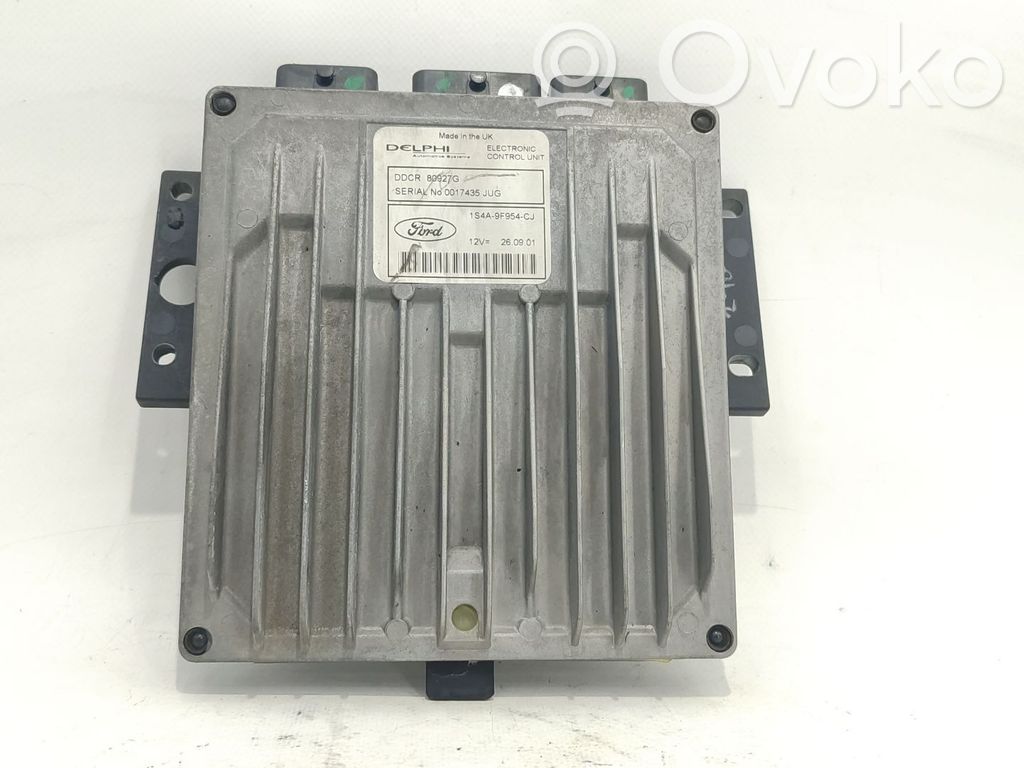 Puerta trasera   1S4A9F954CJ,1S4A9F954CJ