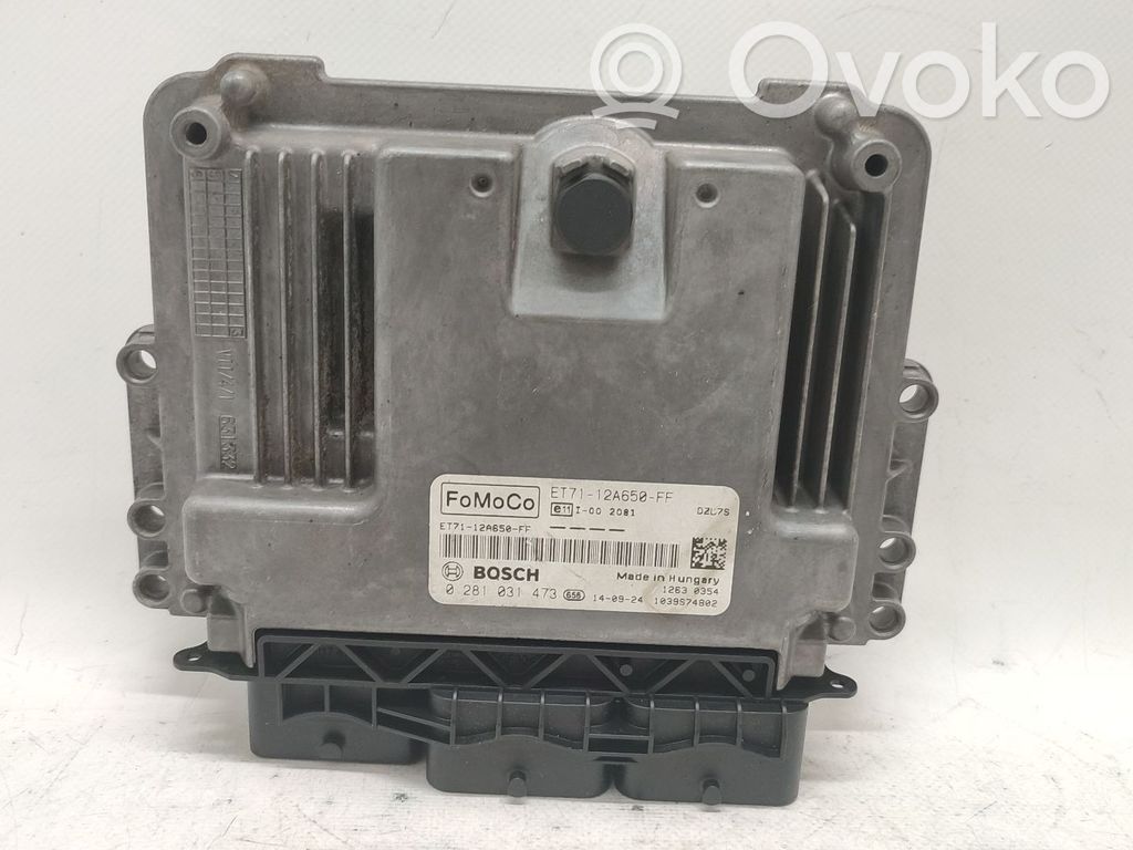 Ford Transit Portiera posteriore 