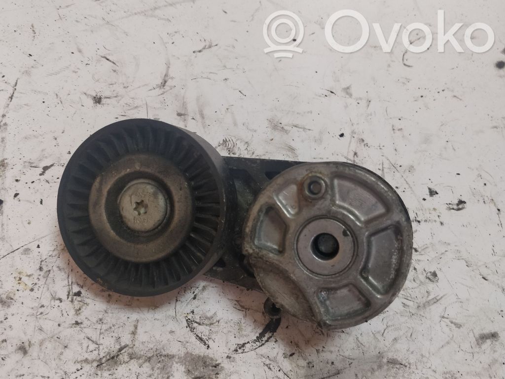 Ford Transit Paskirstymo diržo/ grandinės įtempėjas 