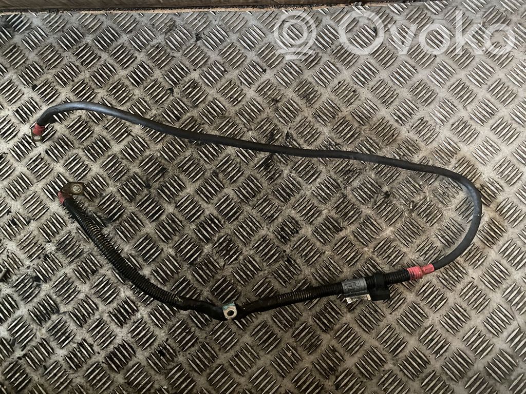 Plusa vads (akumulatora)   7560377,7560377