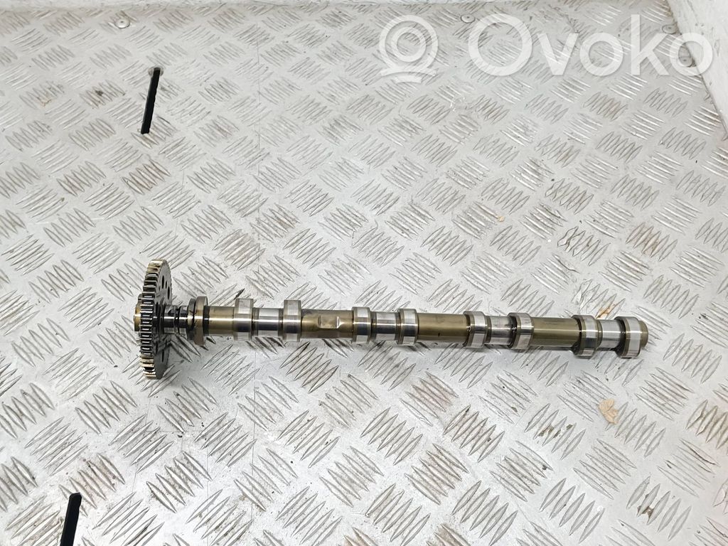 Sadales vārpsta   7790596,050116237