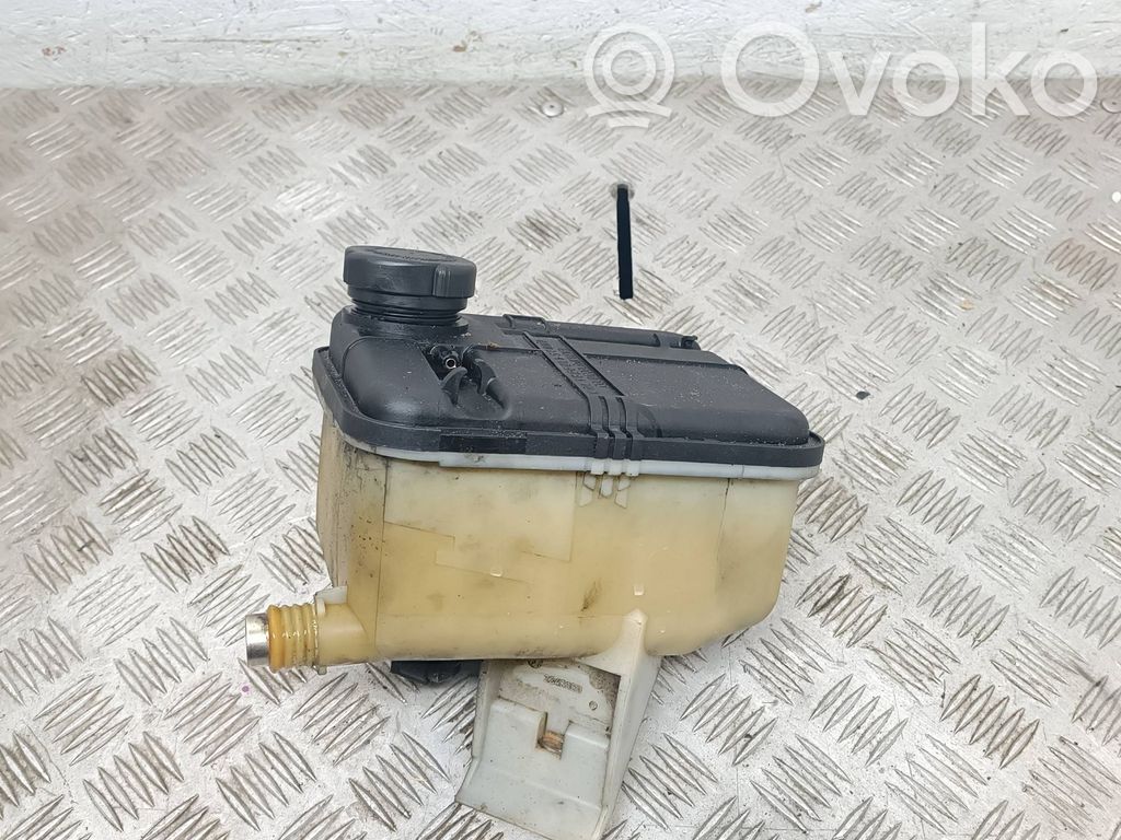 BMW 5 E39 Aušinimo skysčio išsiplėtimo bakelis 