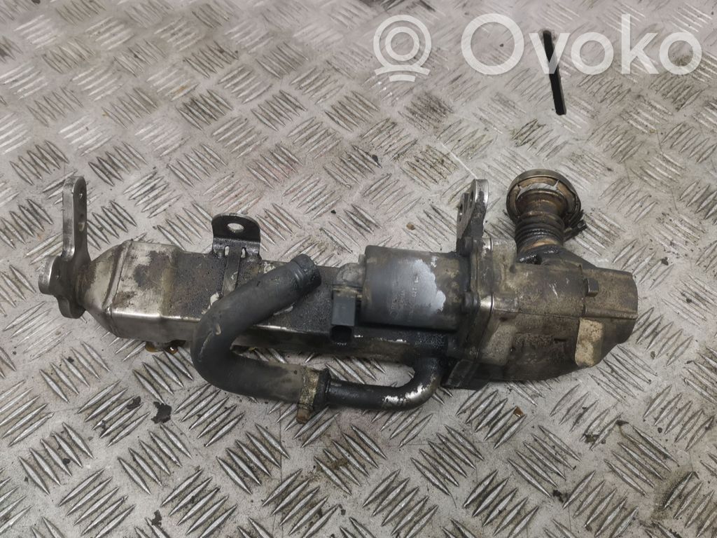 Volvo S80 Válvula EGR 