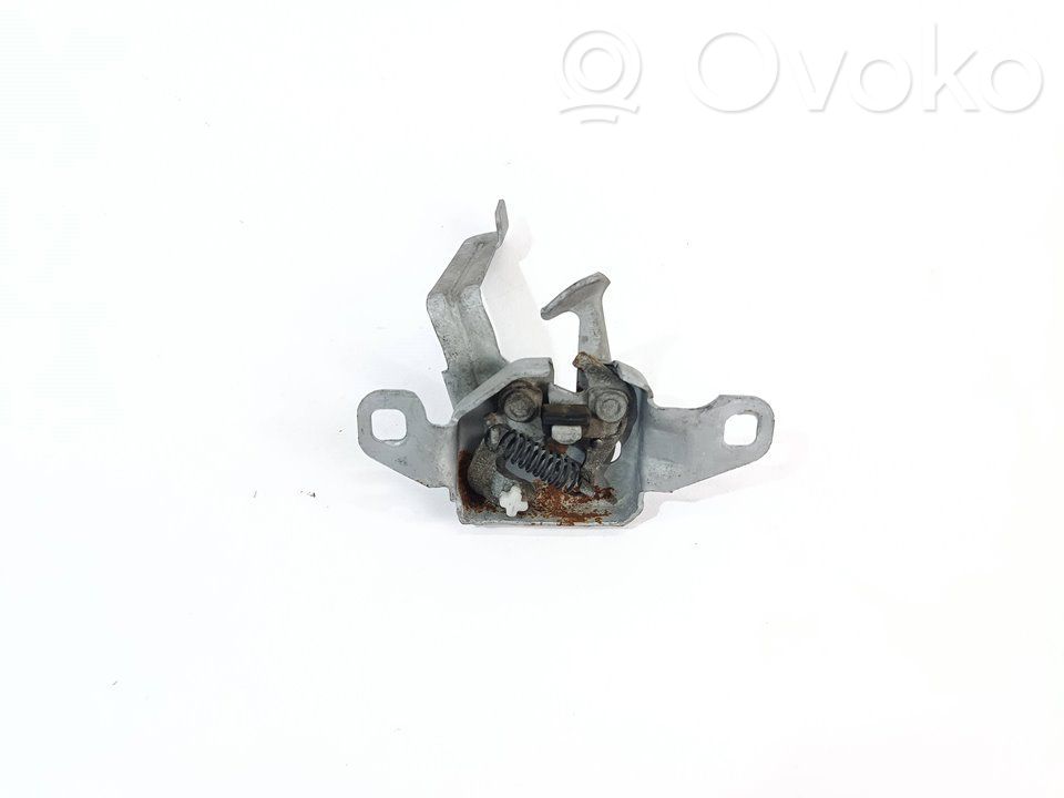 Tie down hook / loop   656013195R