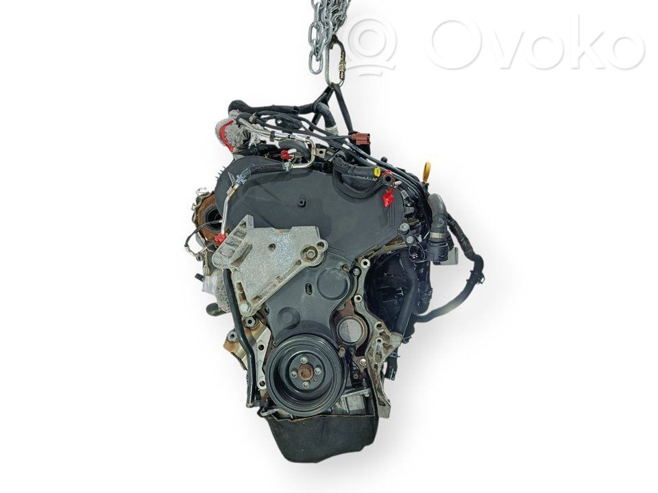 Motor   DLUB