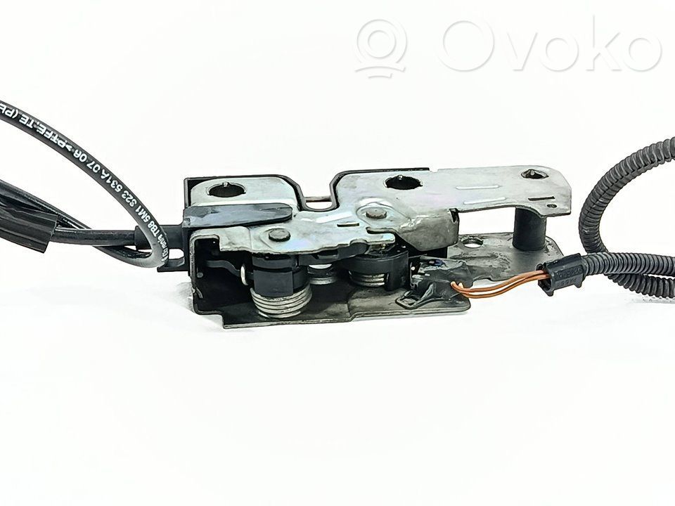 Tie down hook / loop   5M1823509