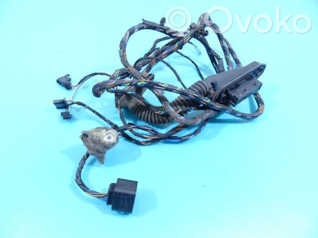 Cableado de puerta trasera   924355101,IMPRK1253490