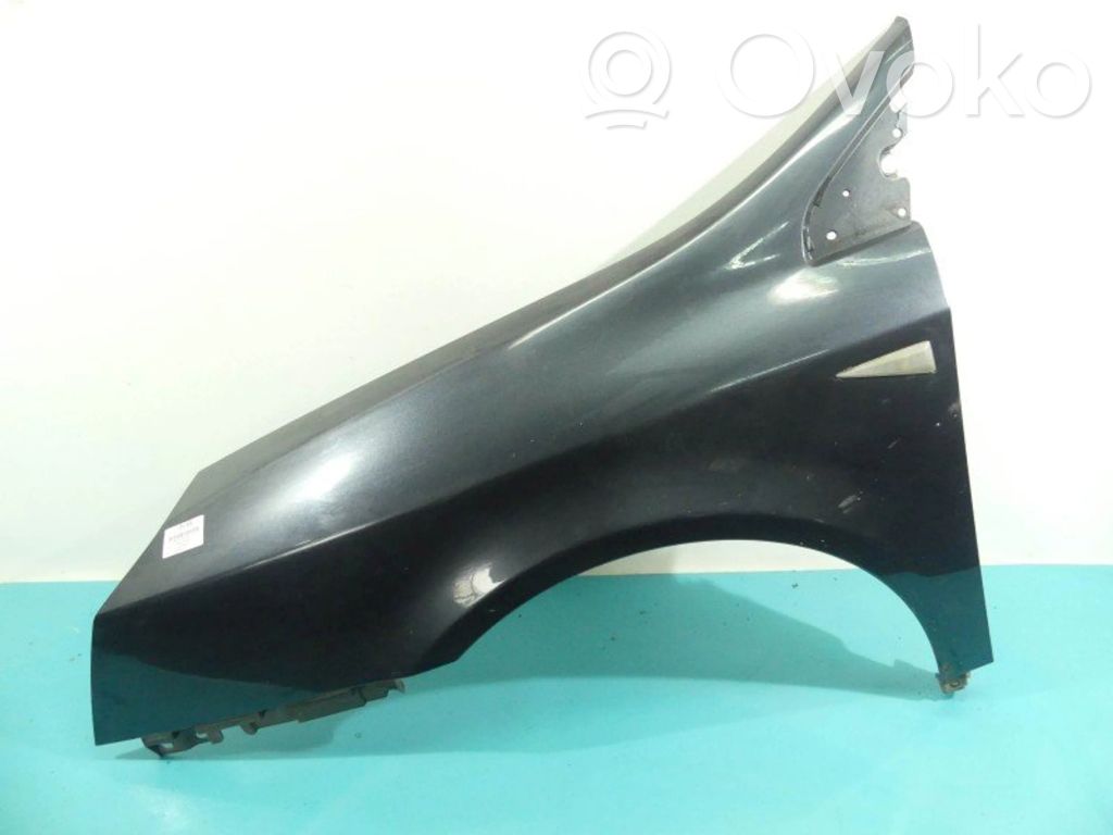 Renault Vel Satis Sparnas 