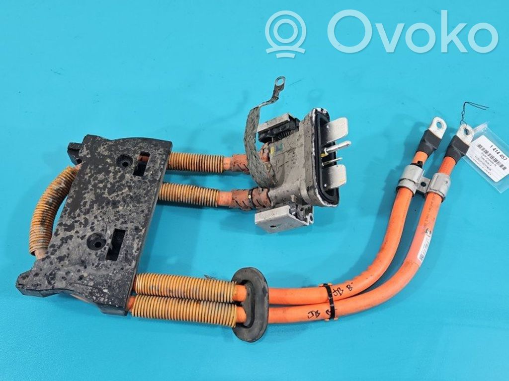 Tesla Model S Other wiring loom 