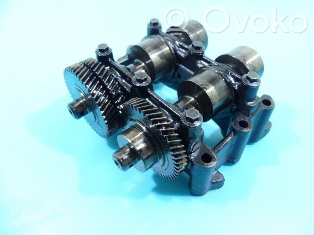 Renault Koleos I Balance shaft 