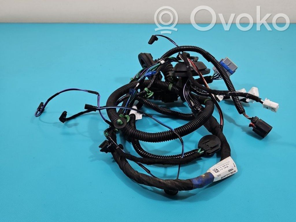 Tesla Model S Cableado de puerta trasera 