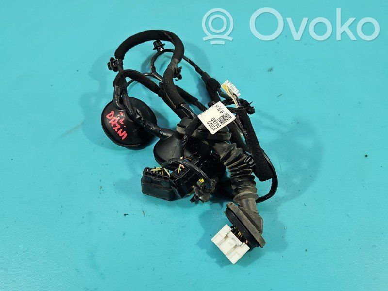 KIA Optima Cableado de puerta trasera 