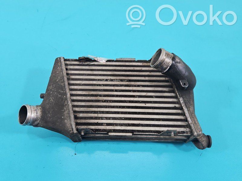 Audi A8 S8 D3 4E Starpdzesētāja radiators 