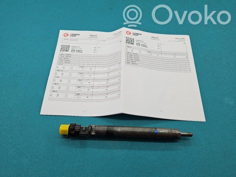 Injector combustibil   EMBR00101D,IMPRK1407577