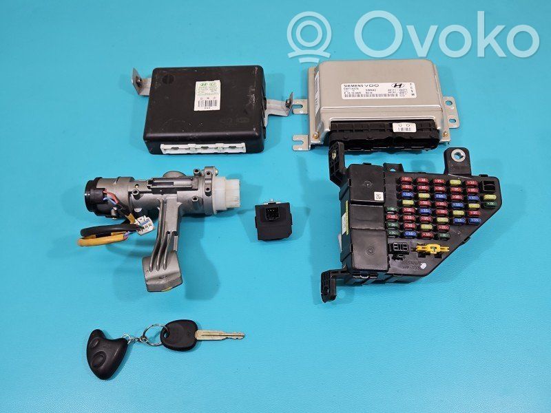 Hyundai Tucson JM Centralina/modulo motore ECU 