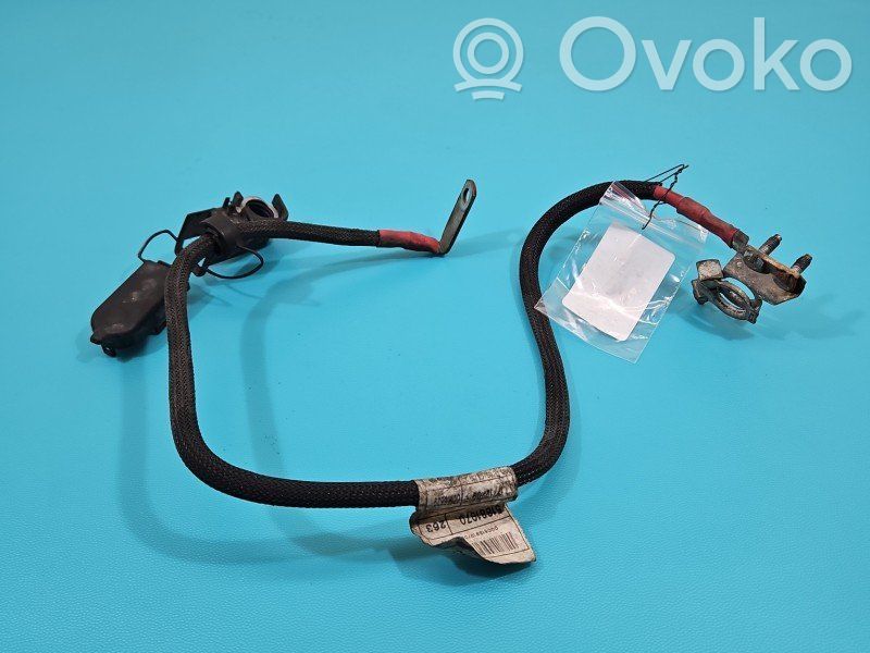 Fiat Doblo Cavo positivo (batteria) 