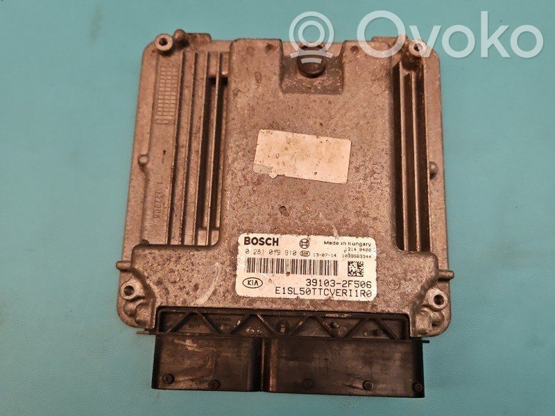 Engine control unit/module ECU   0281019910,IMPRK1351982,391032F506