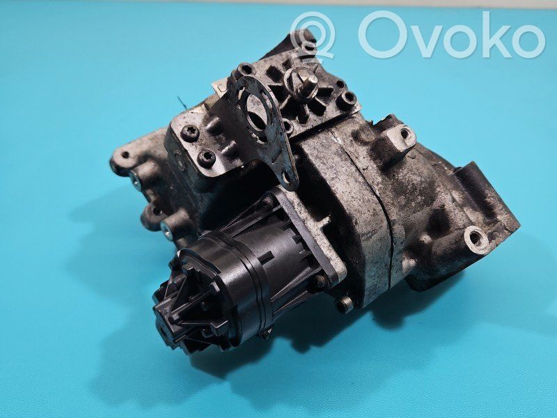 Chevrolet Captiva Zawór EGR 
