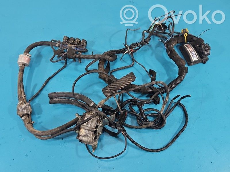 Equipo completo de gas GLP   STAG4QBOXBASIC,IMPRK1546039