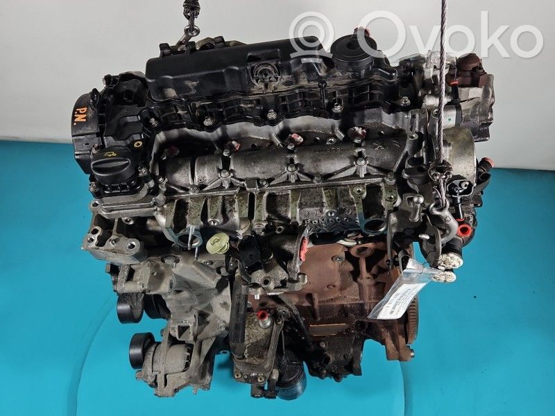 Motor   EHY,IMPRK1517240,DW10FCC
