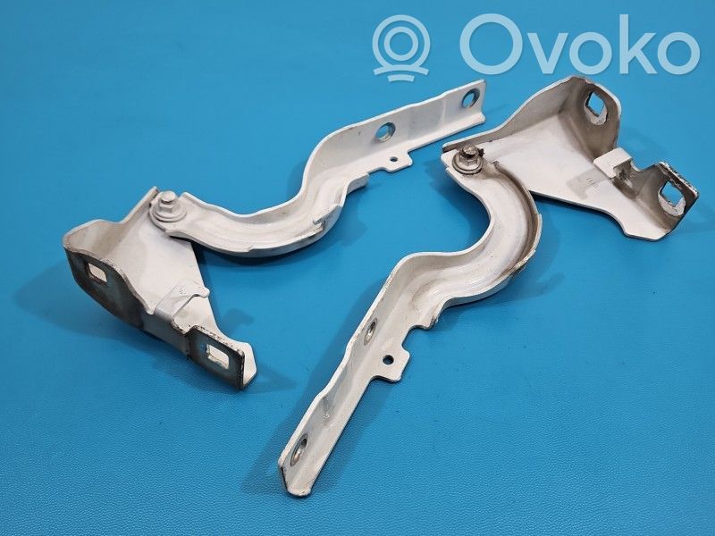 Fiat Tipo Cerniere del vano motore/cofano 