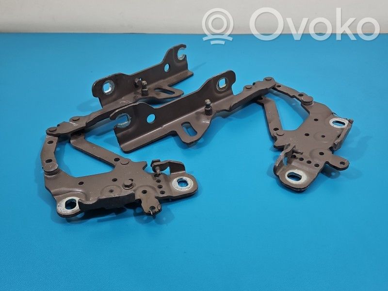 BMW 3 F30 F35 F31 Balamale capotă 
