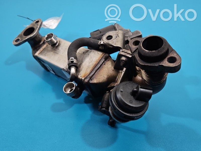 Zawór EGR   X90010B,IMPRK1539682
