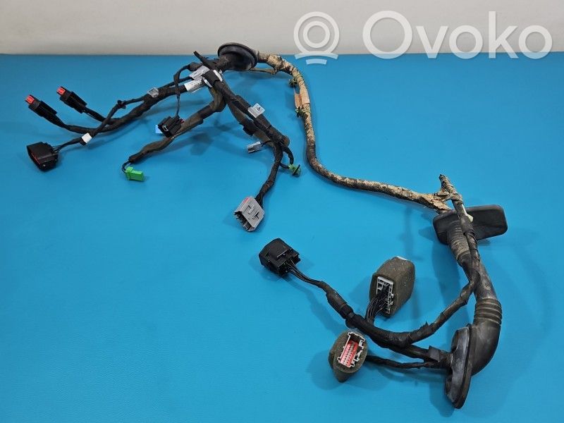Land Rover Evoque I Cablaggio porta anteriore
