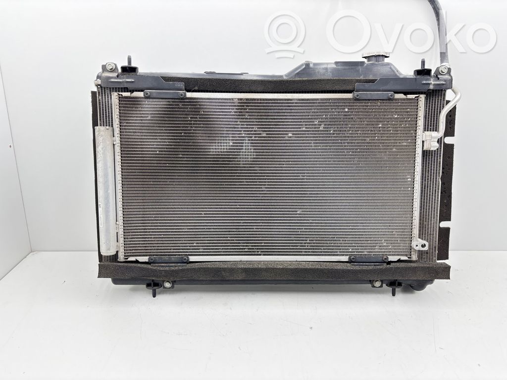 Subaru Legacy VII Radiatorių komplektas 