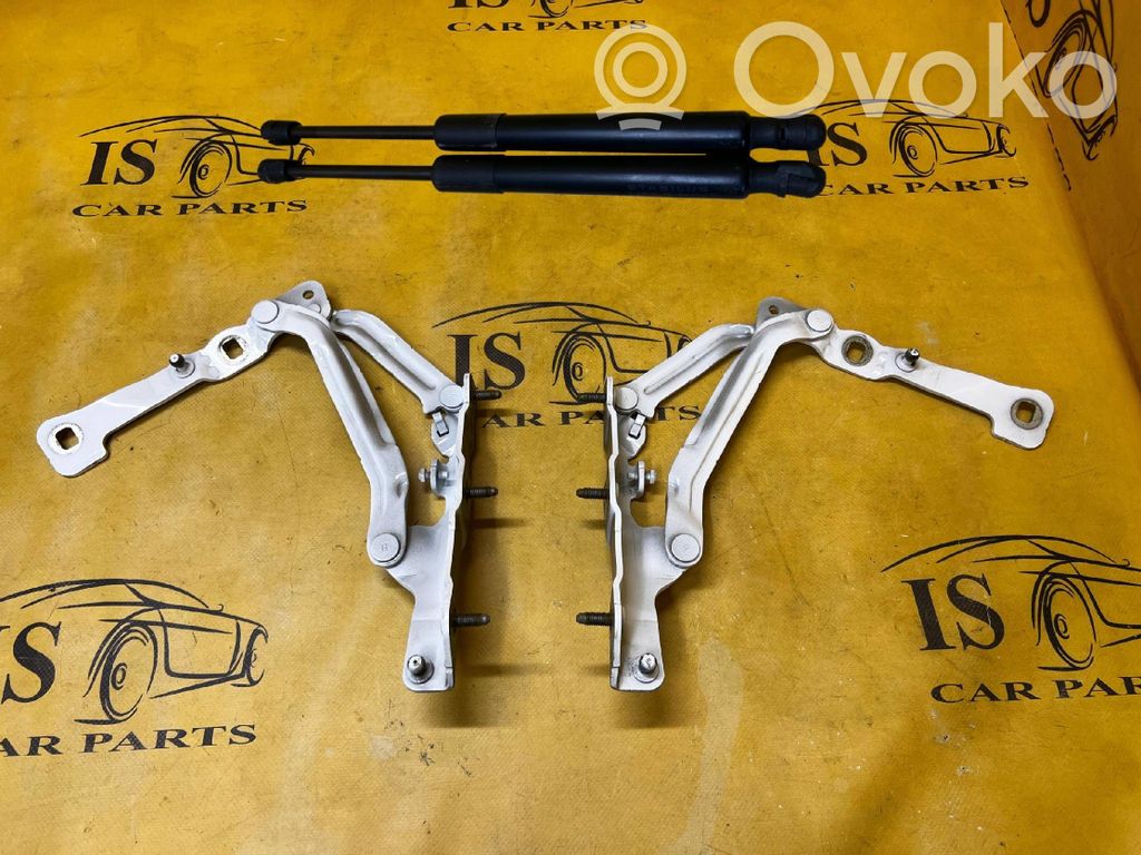 Tailgate strut   109156000B,109156000B