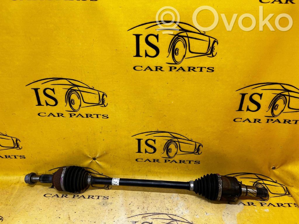 Tesla Model 3 Galinis pusašis 