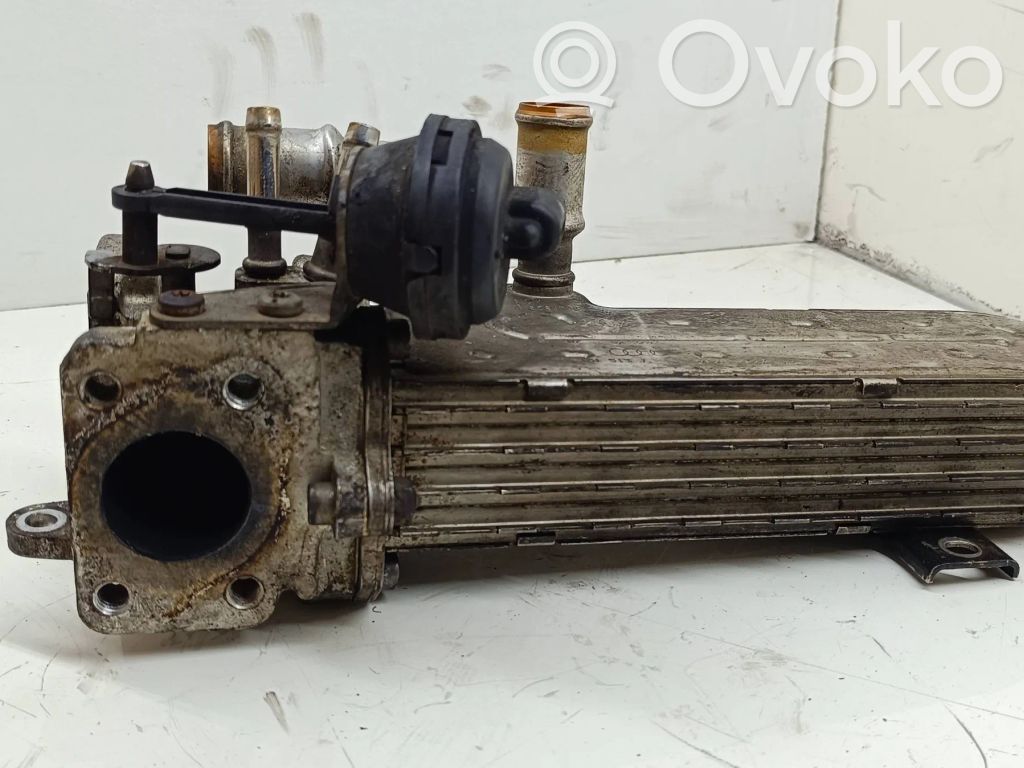 Volkswagen PASSAT B6 Chłodnica spalin EGR 