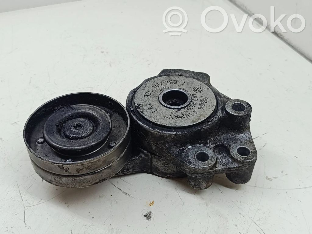 Volkswagen PASSAT B6 Napinacz paska alternatora 